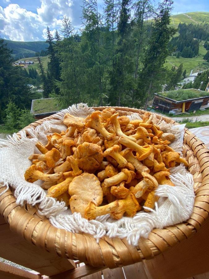 Holzknechthuette Villa Lachtal Buitenkant foto